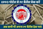 EPFO पोर्टल से PF बैलेंस चेक करें